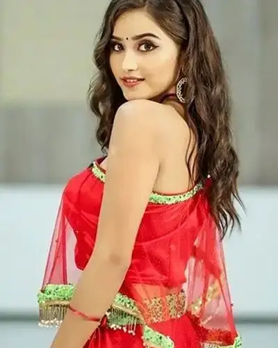 Call Girls Service Daringbadi